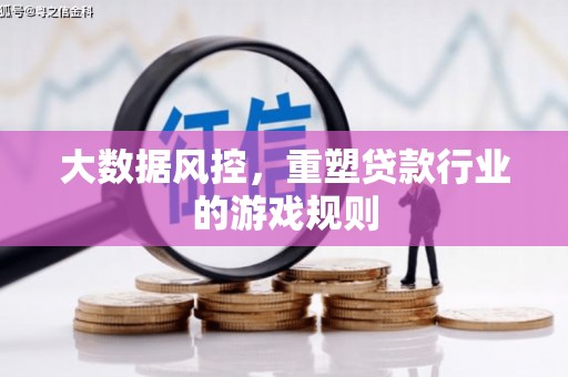 勐腊大数据风控，重塑贷款行业的游戏规则