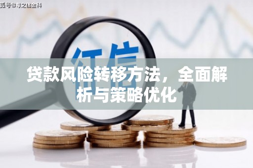勐腊贷款风险转移方法，全面解析与策略优化