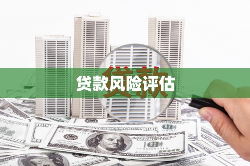 勐腊贷款风险评估