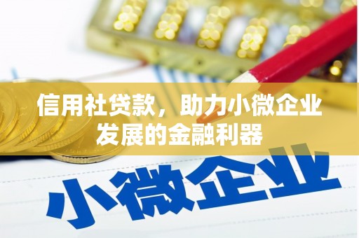 勐腊信用社贷款，助力小微企业发展的金融利器