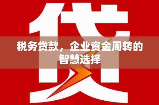 勐腊税务贷款，企业资金周转的智慧选择