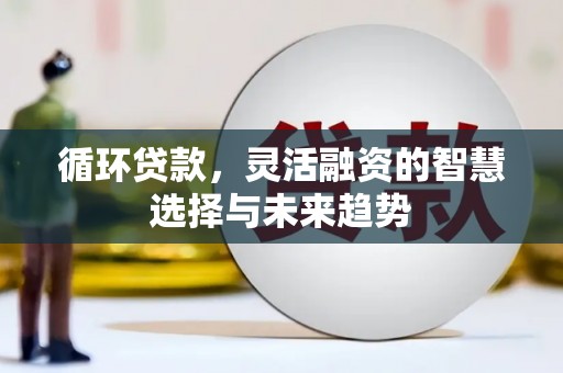 勐腊循环贷款，灵活融资的智慧选择与未来趋势