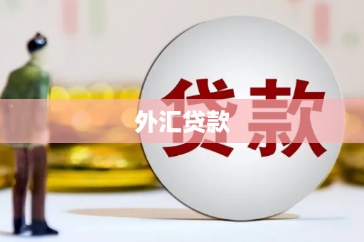 勐腊外汇贷款