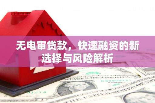 勐腊无电审贷款，快速融资的新选择与风险解析