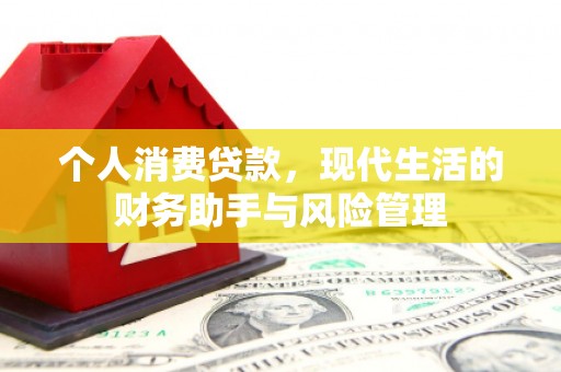勐腊个人消费贷款，现代生活的财务助手与风险管理