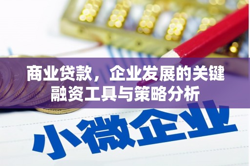 勐腊商业贷款，企业发展的关键融资工具与策略分析