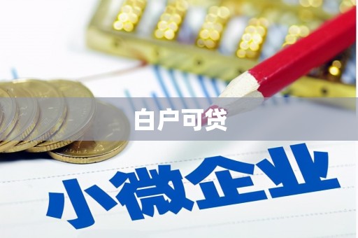 勐腊白户可贷