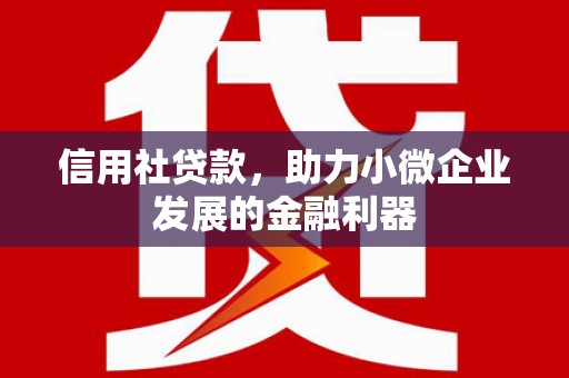 勐腊信用社贷款，助力小微企业发展的金融利器