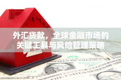勐腊外汇贷款，全球金融市场的关键工具与风险管理策略