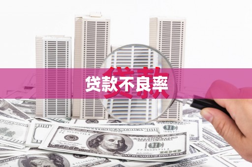 勐腊贷款不良率