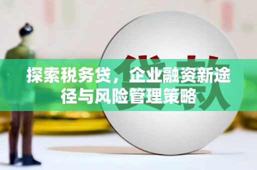勐腊探索税务贷，企业融资新途径与风险管理策略