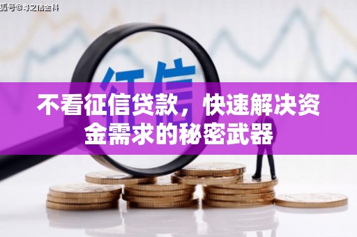 勐腊不看征信贷款，快速解决资金需求的秘密武器
