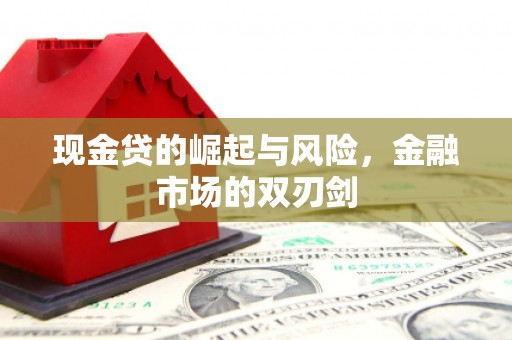 勐腊现金贷的崛起与风险，金融市场的双刃剑