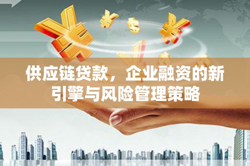 勐腊供应链贷款，企业融资的新引擎与风险管理策略