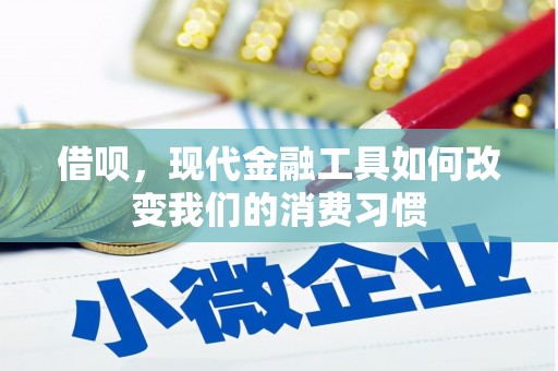 勐腊借呗，现代金融工具如何改变我们的消费习惯
