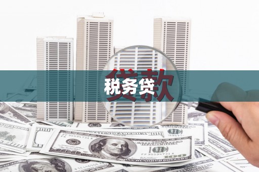勐腊税务贷