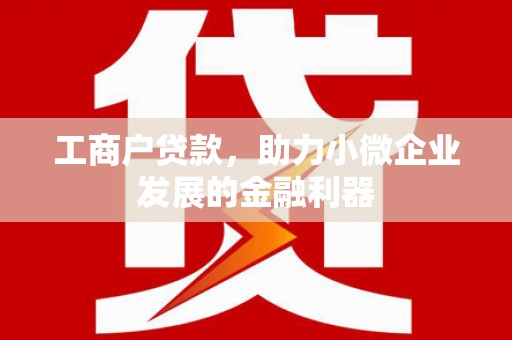 勐腊工商户贷款，助力小微企业发展的金融利器