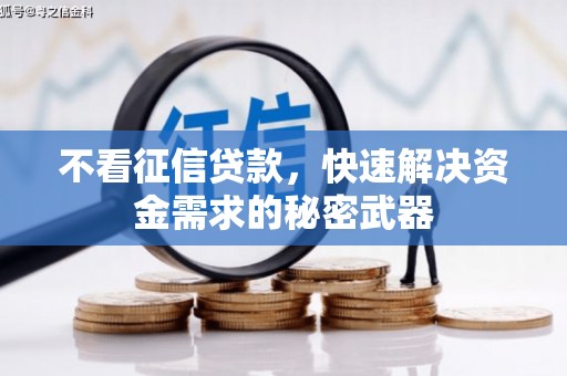 勐腊不看征信贷款，快速解决资金需求的秘密武器