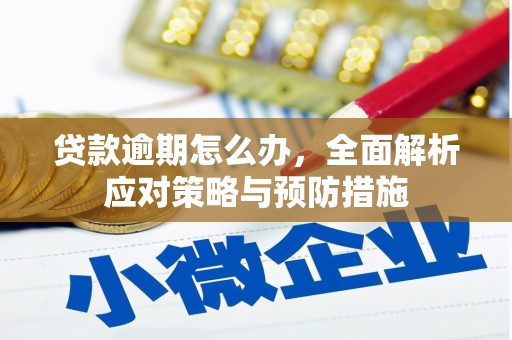 勐腊贷款逾期怎么办，全面解析应对策略与预防措施
