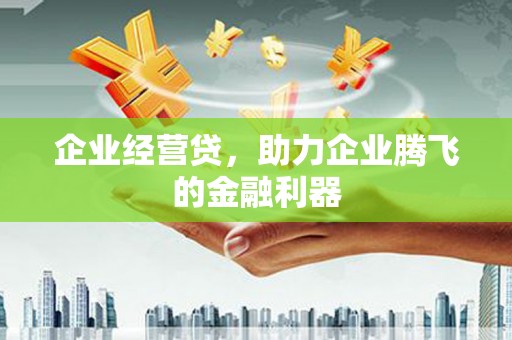 勐腊企业经营贷，助力企业腾飞的金融利器