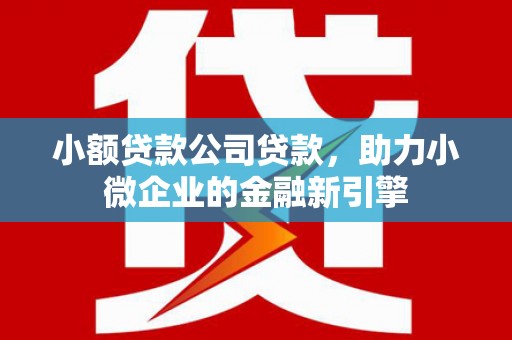 勐腊小额贷款公司贷款，助力小微企业的金融新引擎