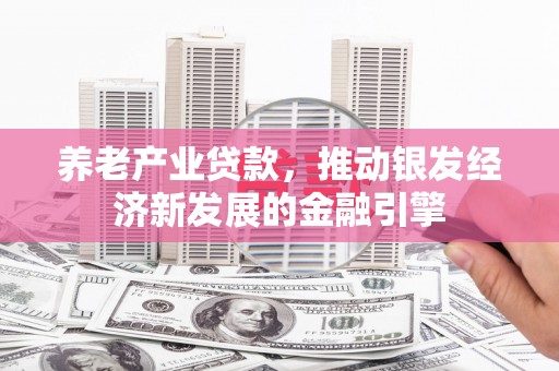 勐腊养老产业贷款，推动银发经济新发展的金融引擎