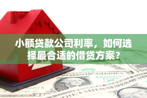 勐腊小额贷款公司利率，如何选择最合适的借贷方案？