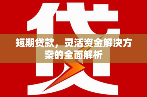 勐腊短期贷款，灵活资金解决方案的全面解析