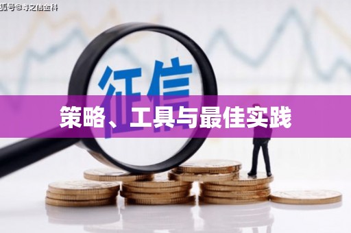 勐腊策略、工具与最佳实践