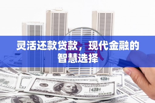 勐腊灵活还款贷款，现代金融的智慧选择