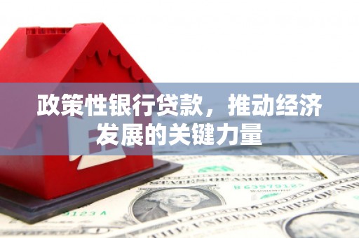 勐腊政策性银行贷款，推动经济发展的关键力量
