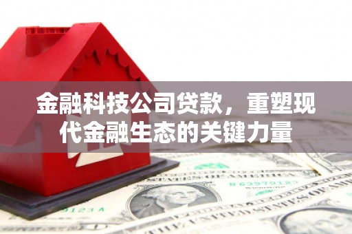 勐腊金融科技公司贷款，重塑现代金融生态的关键力量