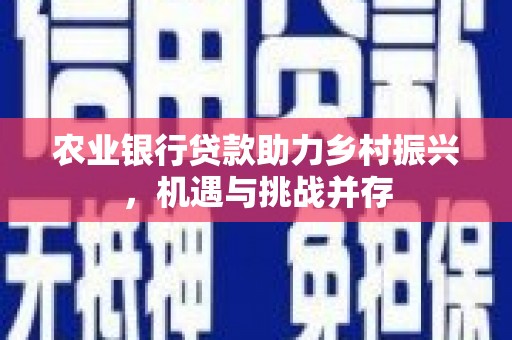 勐腊农业银行贷款助力乡村振兴，机遇与挑战并存