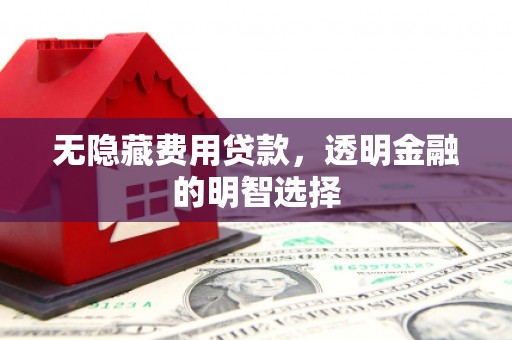 勐腊无隐藏费用贷款，透明金融的明智选择