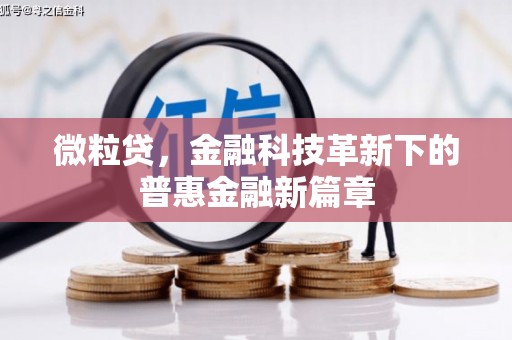 勐腊微粒贷，金融科技革新下的普惠金融新篇章