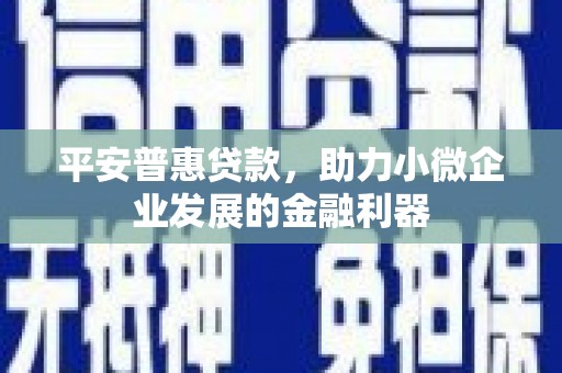 勐腊平安普惠贷款，助力小微企业发展的金融利器