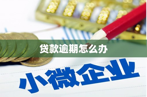 勐腊贷款逾期怎么办