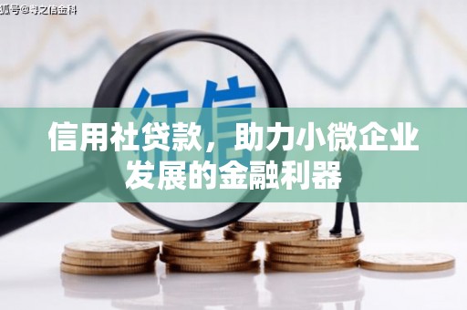 勐腊信用社贷款，助力小微企业发展的金融利器