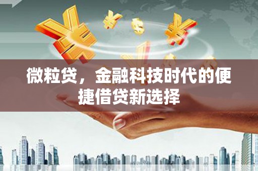勐腊微粒贷，金融科技时代的便捷借贷新选择