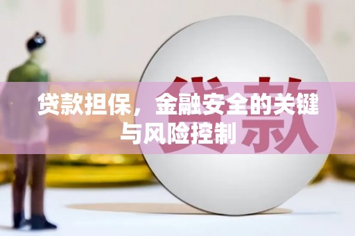 勐腊贷款担保，金融安全的关键与风险控制