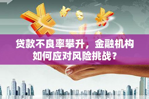 勐腊贷款不良率攀升，金融机构如何应对风险挑战？