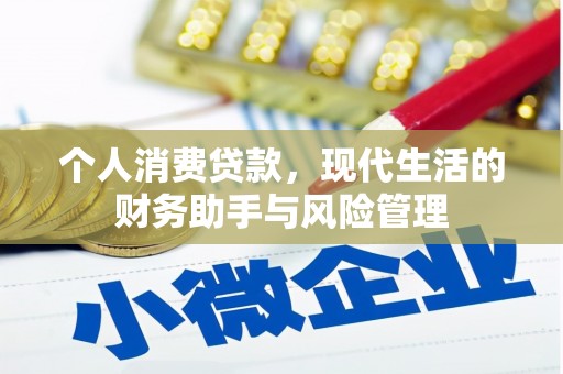 勐腊个人消费贷款，现代生活的财务助手与风险管理