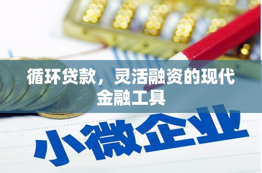 勐腊循环贷款，灵活融资的现代金融工具