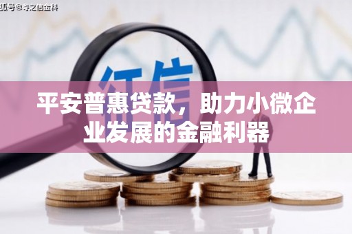 勐腊平安普惠贷款，助力小微企业发展的金融利器