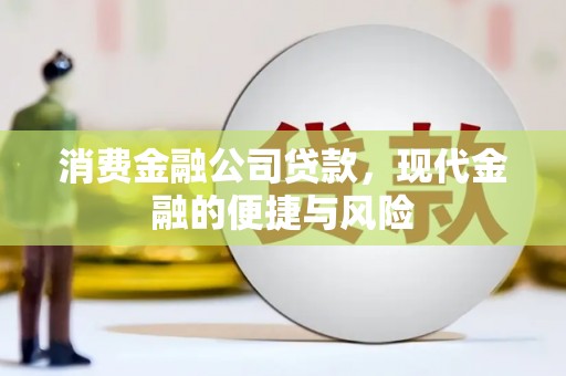 勐腊消费金融公司贷款，现代金融的便捷与风险
