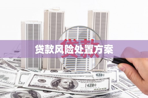 勐腊贷款风险处置方案