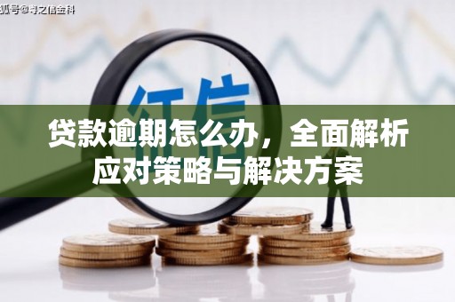 勐腊贷款逾期怎么办，全面解析应对策略与解决方案