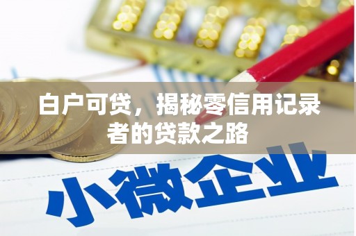 勐腊白户可贷，揭秘零信用记录者的贷款之路