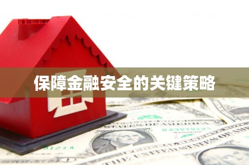 勐腊保障金融安全的关键策略