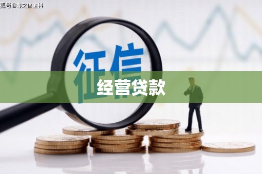 勐腊经营贷款